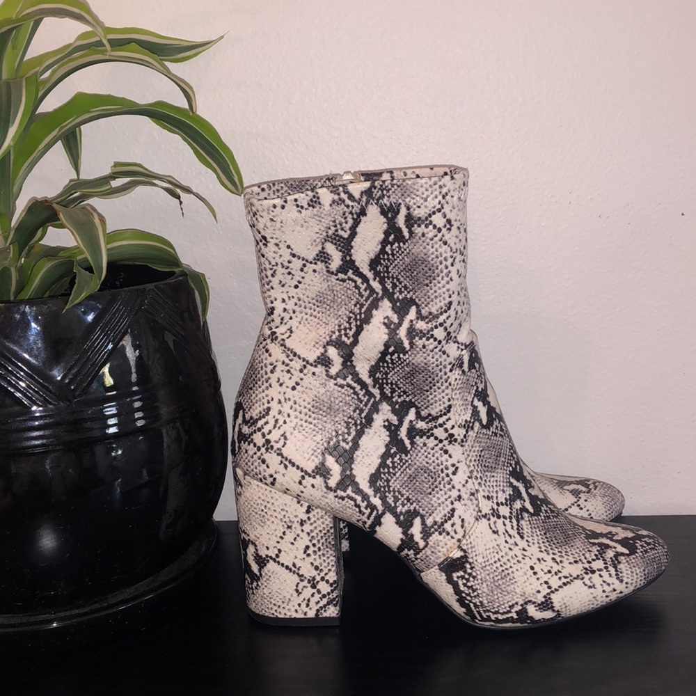 Madden Girl Rapidd Snake Boot